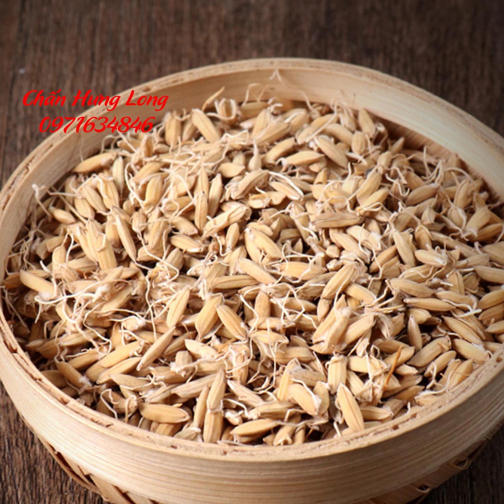 Mạch Nha 100g