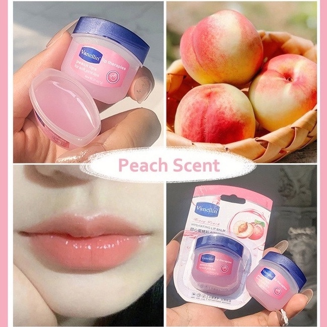 Son Dưỡng Môi Vancilin Chiết Xuất Trái Cây Tự Nhiên Dưỡng Ẩm Chống Nếp Nhăn