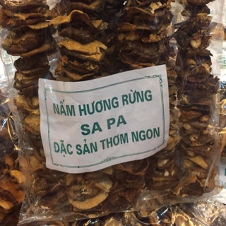 Nấm hương rừng Sa Pa