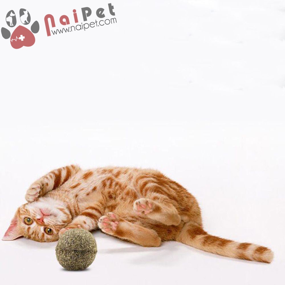 Cỏ Catnip Cỏ Bạc Hà Viên Nén Dạng Kẹo Mút Cho Mèo CCN007