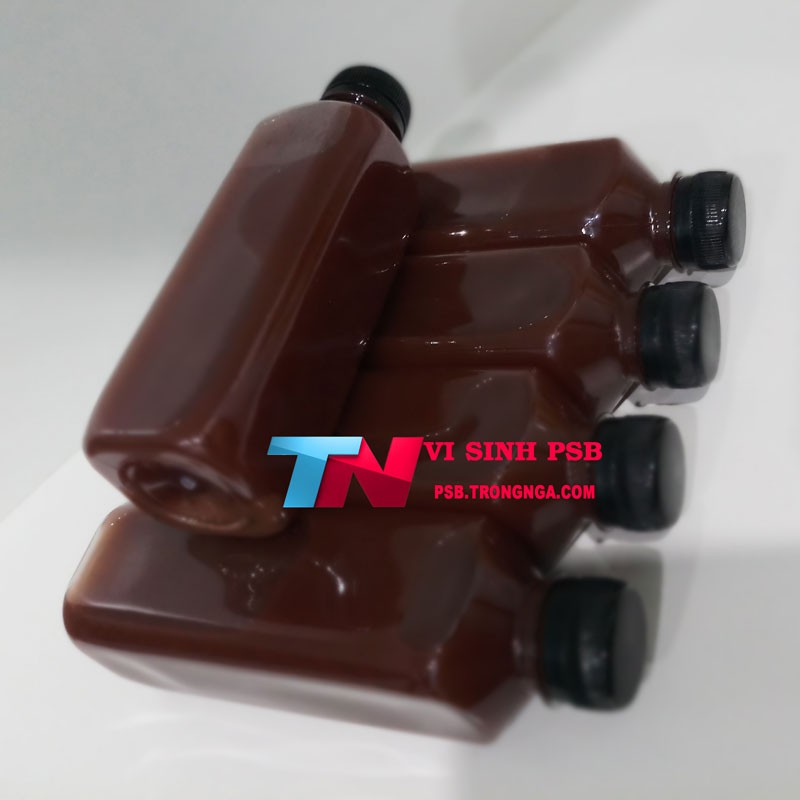 Vi sinh PSB làm trong nước nuôi cá - Vi khuẩn quang hợp