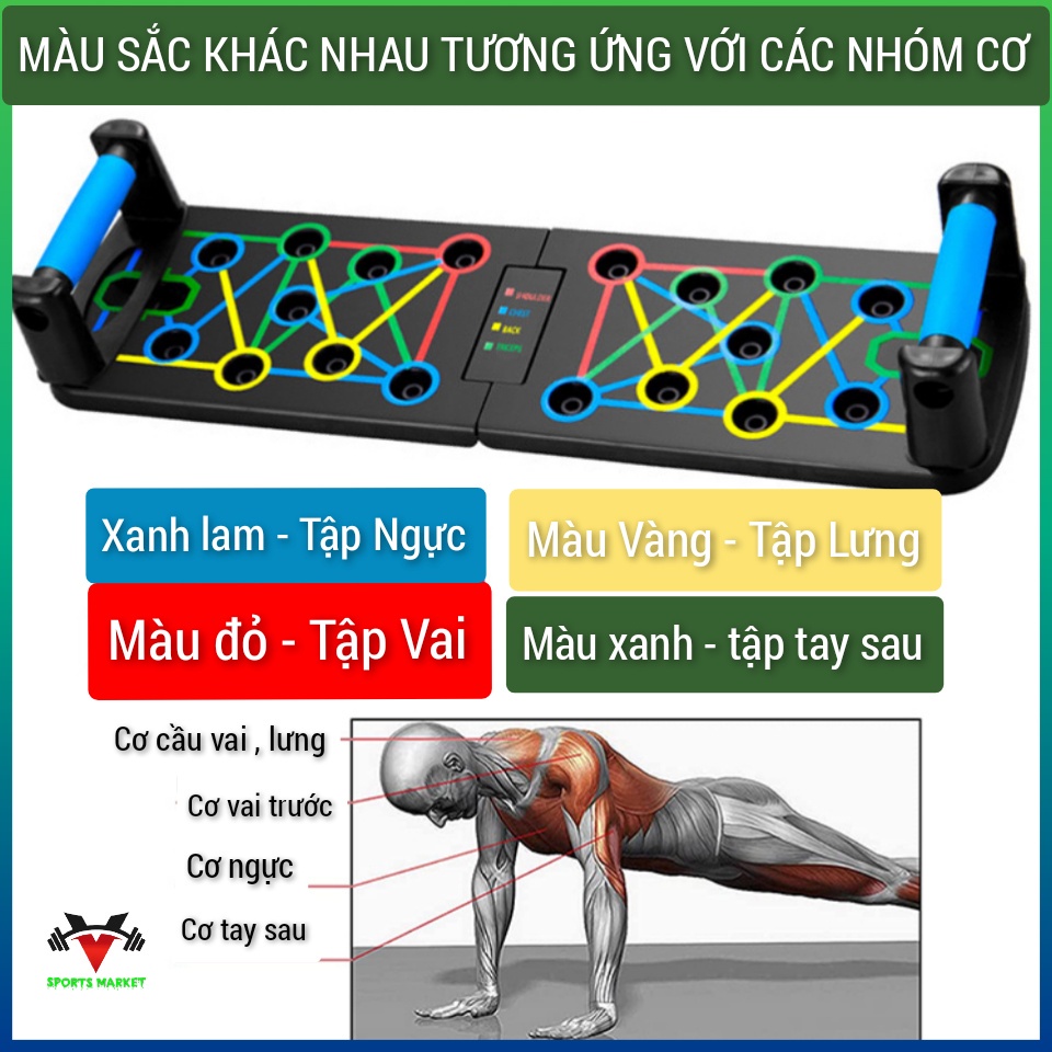 Dụng cụ hít đất, dụng cụ chống đẩy tại nhà tập ngực, tập lưng, tập vai, tay, bụng