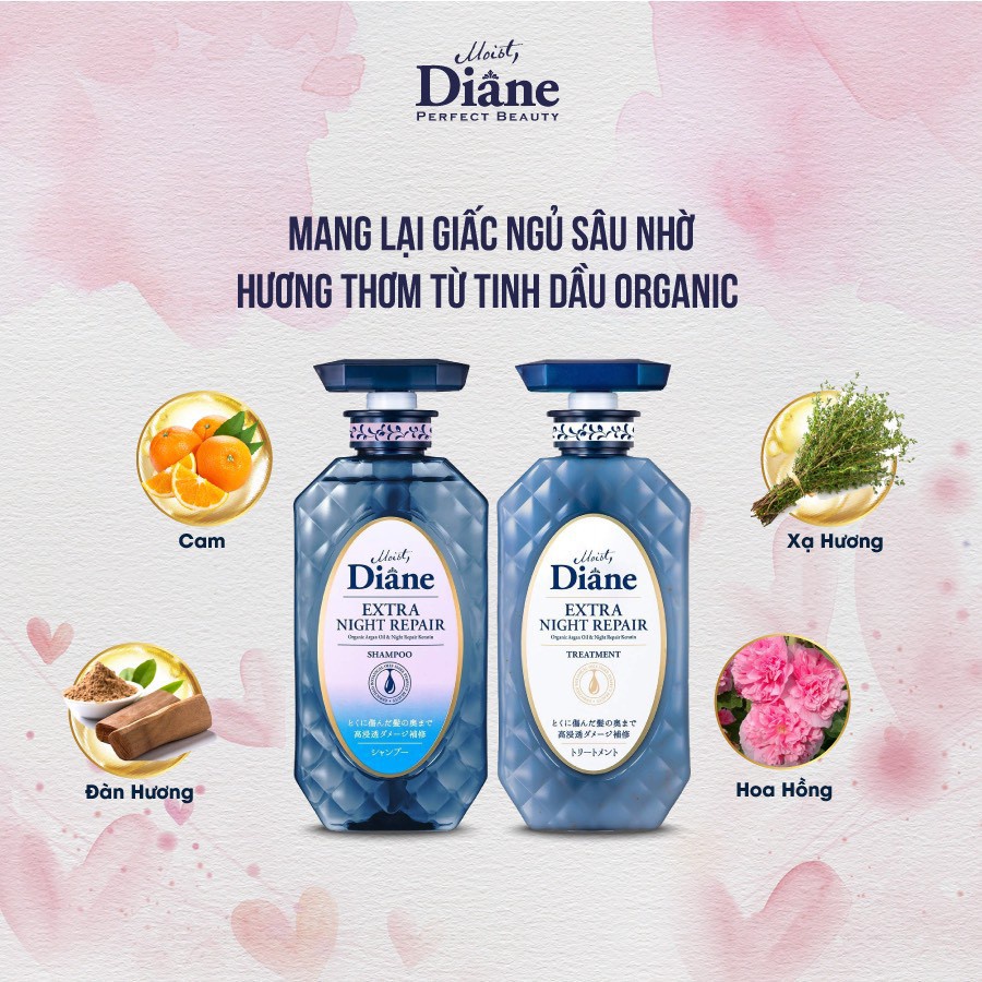 Dầu gội / hoặc dầu xả tăng cường dưỡng chất ban đêm Diane extra night repair