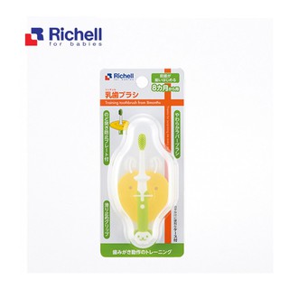 Bàn Chải Bước 2 (8M+) Richell Nhật Bản