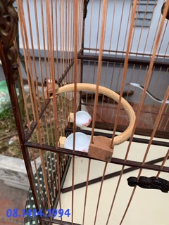 Cầu góc tre