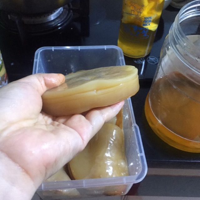 Nấm kombucha