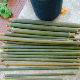 Combo ống nứa