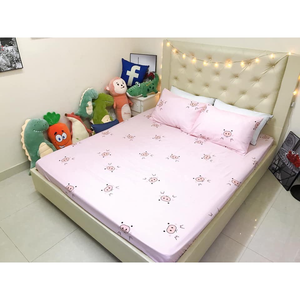 Bộ ga gối 1m5 cotton poly nhập khẩu loại 1(mẫu 18)