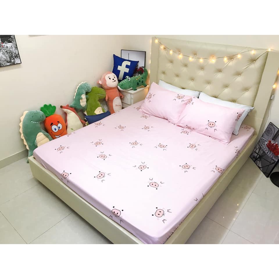 Bộ ga gối 1m8 cotton poly nhập khẩu loại 1(mẫu 08)