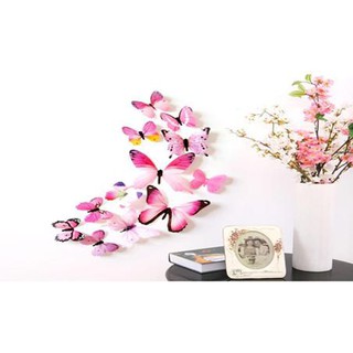 Con bướm trang trí dính trên lều cực đẹp