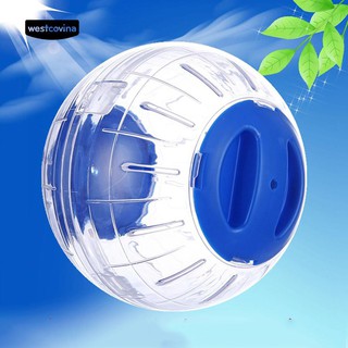 Bóng lăn đồ chơi cho chuột Hamster
