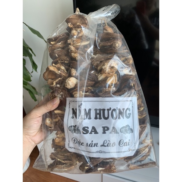 500g nấm hương rừng đặc sản Tây Bắc siêu ngon