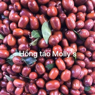 Combo táo đỏ