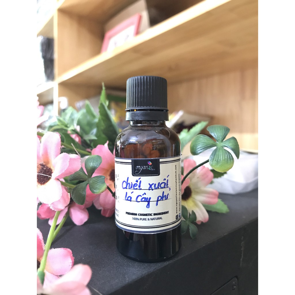 CHIẾT XUẤT LÁ CÂY PHỈ ORGANIC WITCH HAZEL EXTRACT