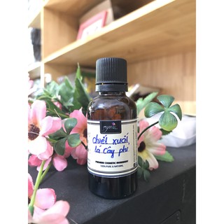 CHIẾT XUẤT LÁ CÂY PHỈ