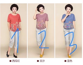 Bộ đồ trung niên nữ