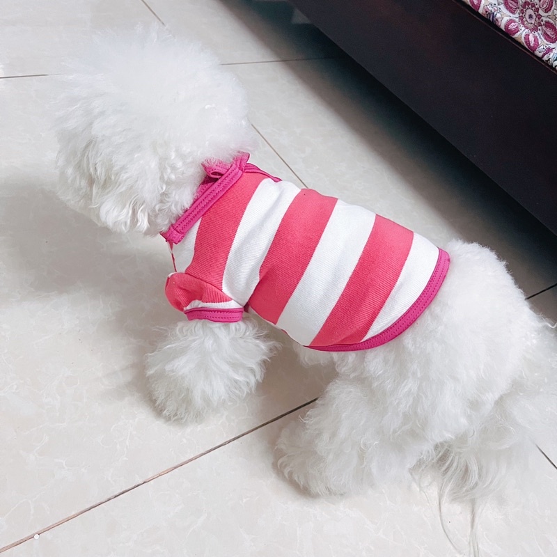 Quần Áo Cho Chó Mèo Mùa Hè 2022 Quần Áo Thú Cưng Mát Mỏng Cotton Giá Rẻ