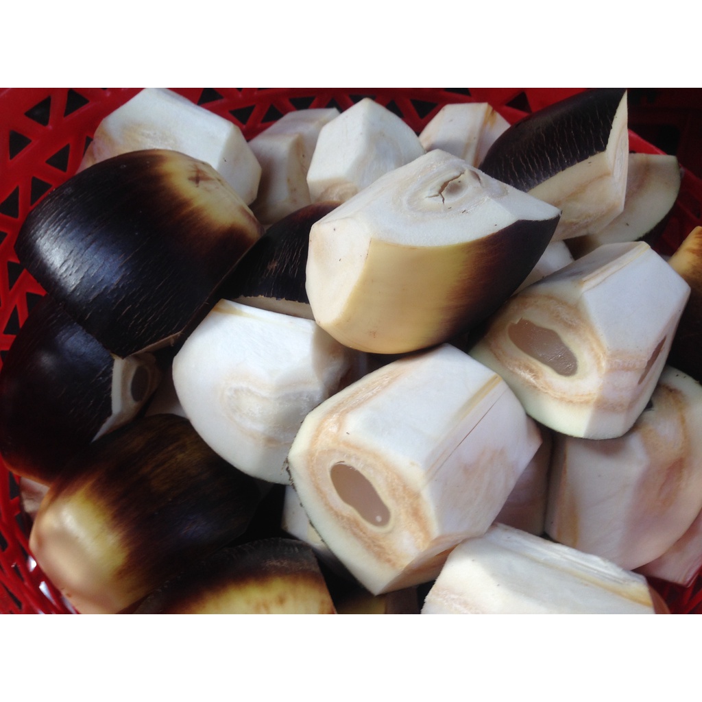 Đường thốt nốt nguyên chất đặc sản An Giang