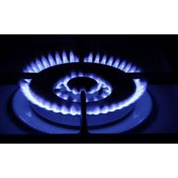 BẾP GAS RINNAI RJ-9600S (TRẮNG)