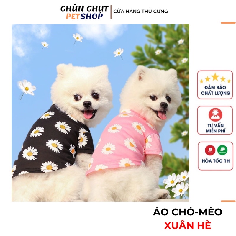 Áo thun cho Chó Mèo xuân hè - Hoạ tiết hoa siêu dễ thương ChunChut PetShop