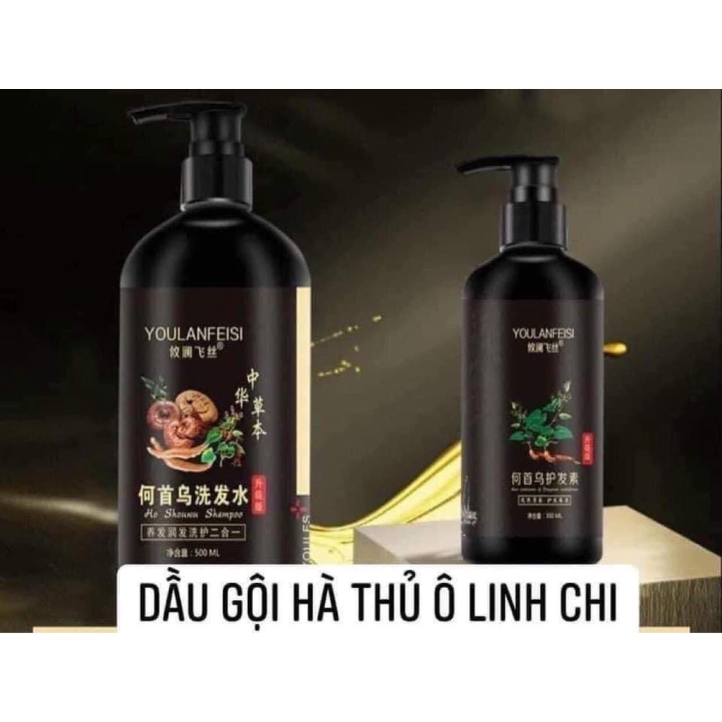 Cặp dầu gội thảo dược HÀ THỦ Ô- LINH CHI 500ML