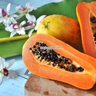 Hạt giống cây đu đủ - 10 hạt