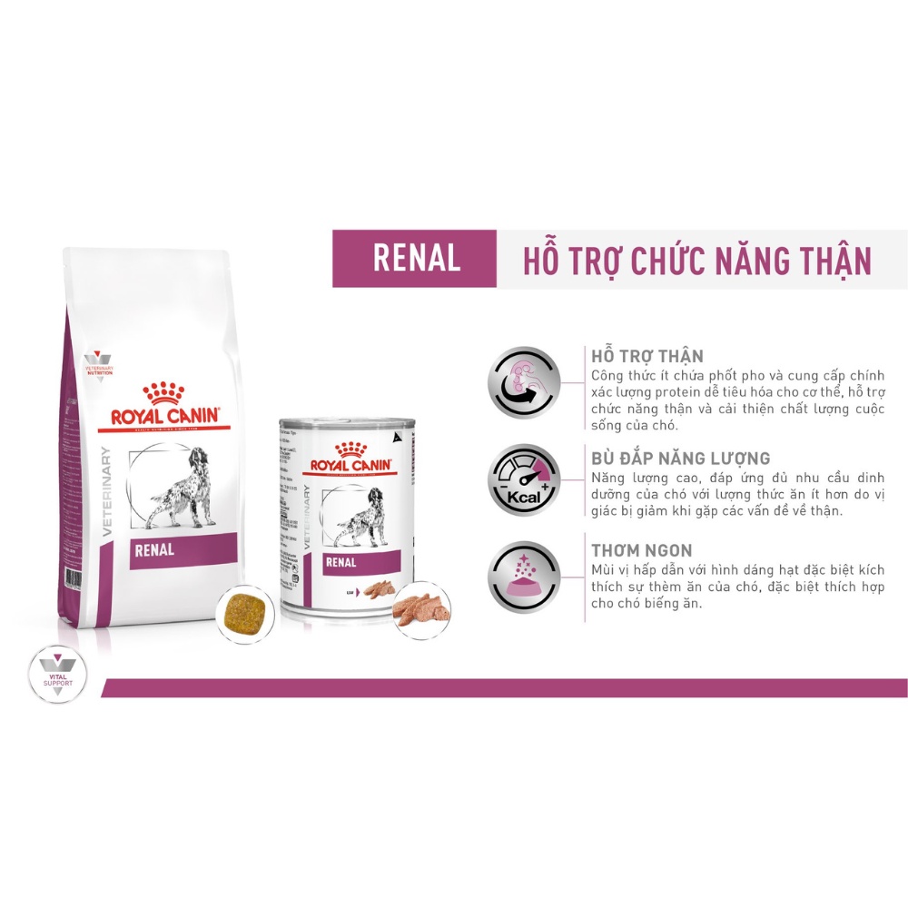 ROYAL CANIN RENAL CAT - HỖ TRỢ CHỨC NĂNG THẬN CHO MÈO, túi 400g