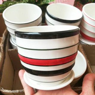 Chậu trồng cây để bàn -size có đĩa hứng nước