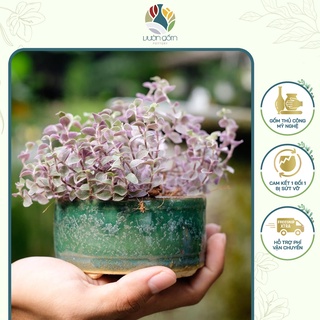 Set 3 chiếc chậu gốm sứ trồng cây hình tròn elip decor trang trí tiểu cảnh Vườn Gốm - The Garden