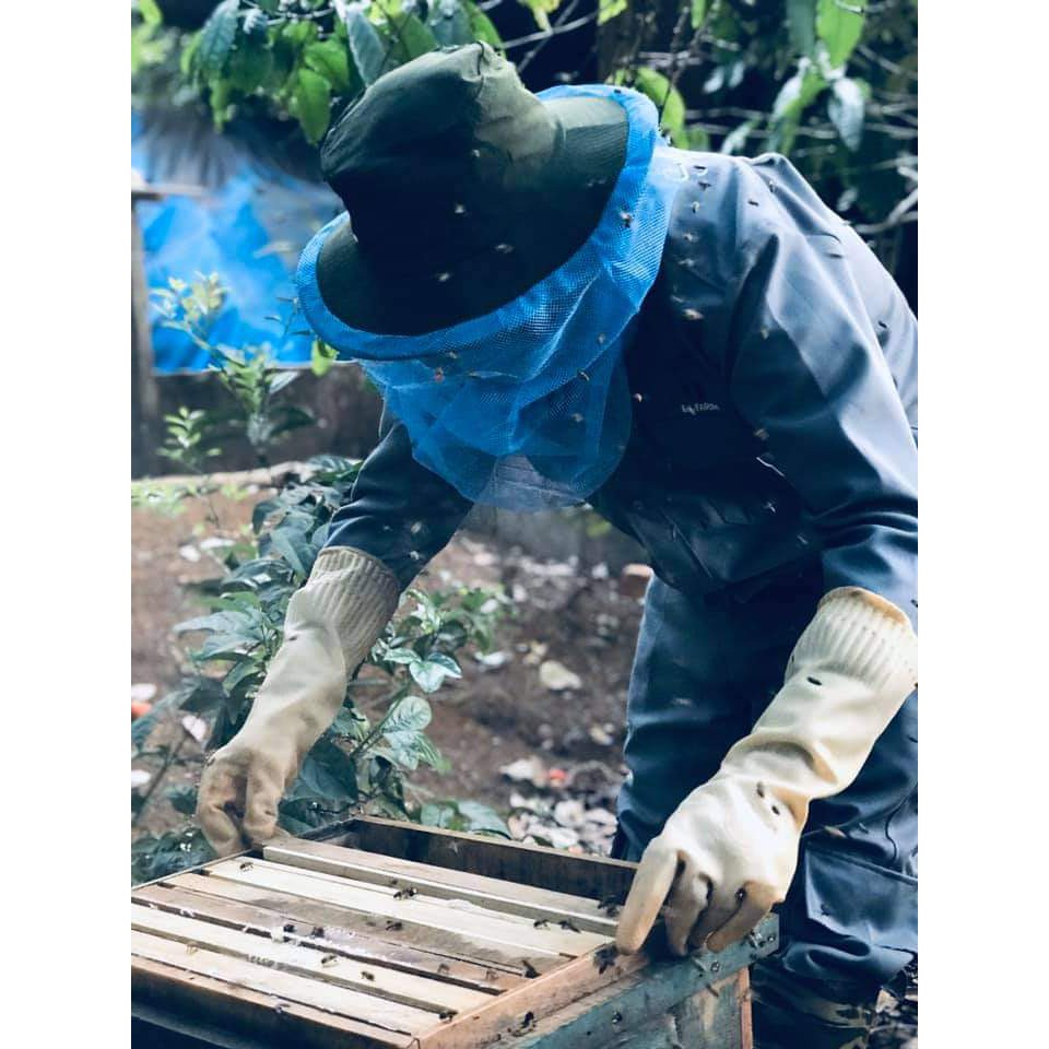 Mật ong nguyên chất hoa cà phê ej farm - set 2 hũ (mật ong rừng) | BigBuy360 - bigbuy360.vn