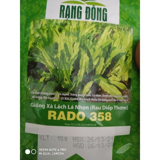 Hạt giống Xà lách nhọn ( Rau diếp thơm ) 10gr❤️FREESHIP XTRA❤️