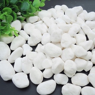 SỎI TRẮNG TRANG TRÍ 500 GR (đủ cỡ)