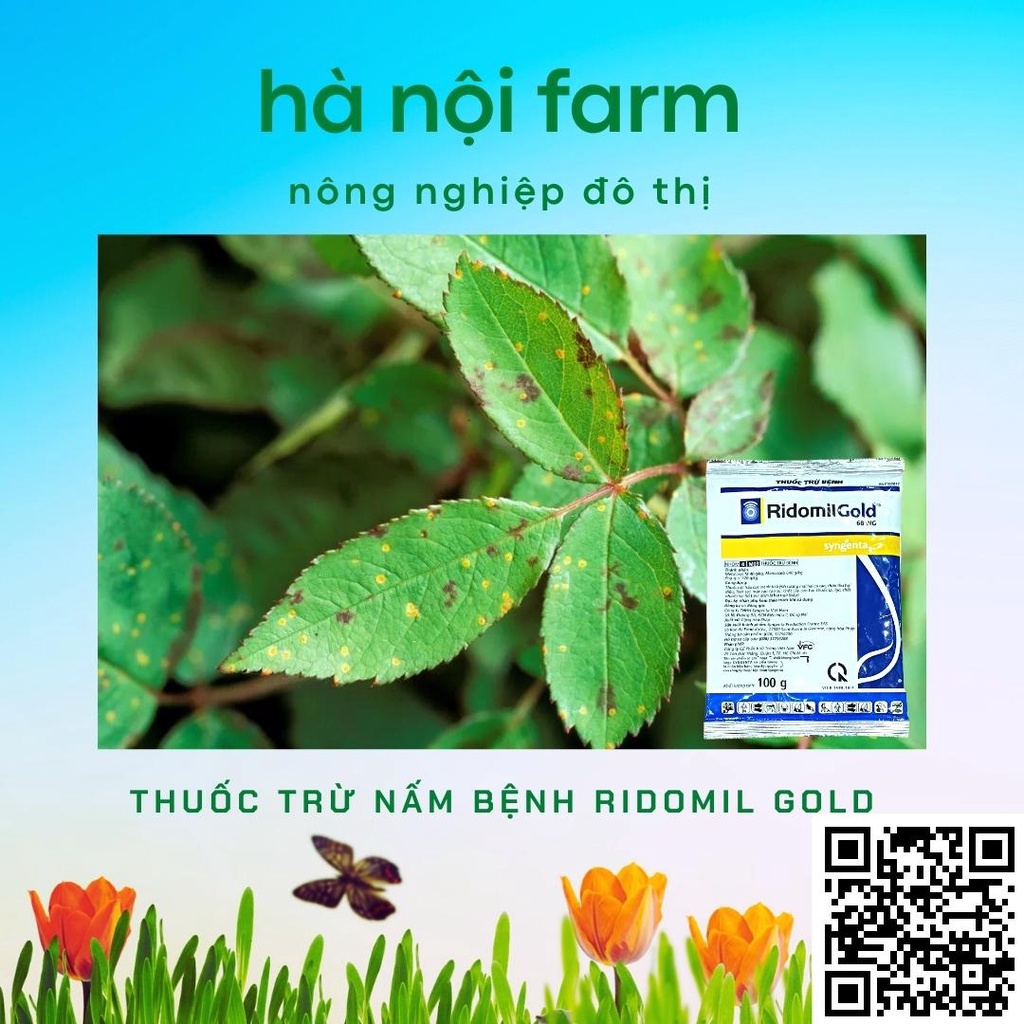 Ridomil Gold 68WP gói 100g