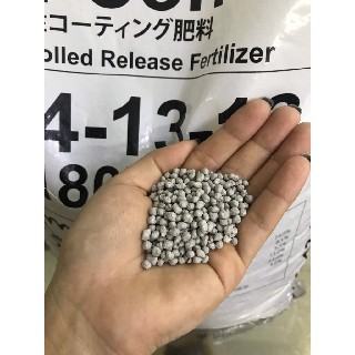 Phân chì tan chậm Nhật Bản Hi Control 14-13-13 chuyên dùng hoa Lan