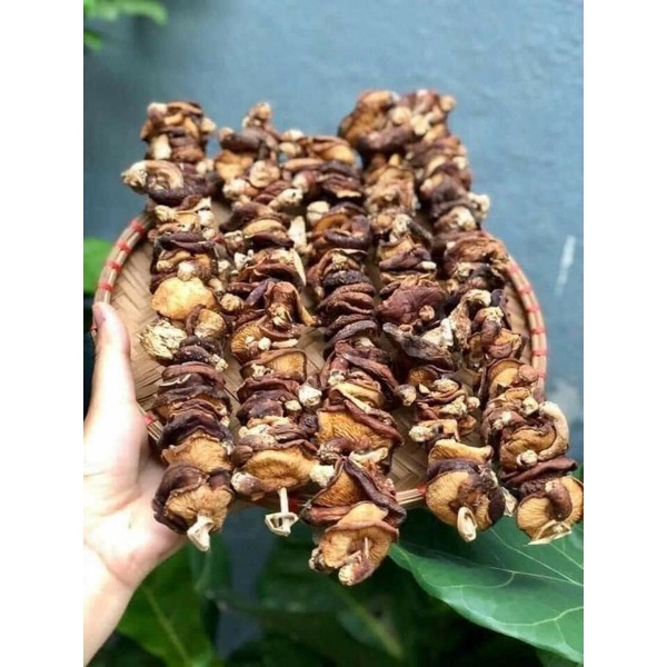 🍀HÀNG TỐT🍀 Nấm hương rừng xiên loại 1