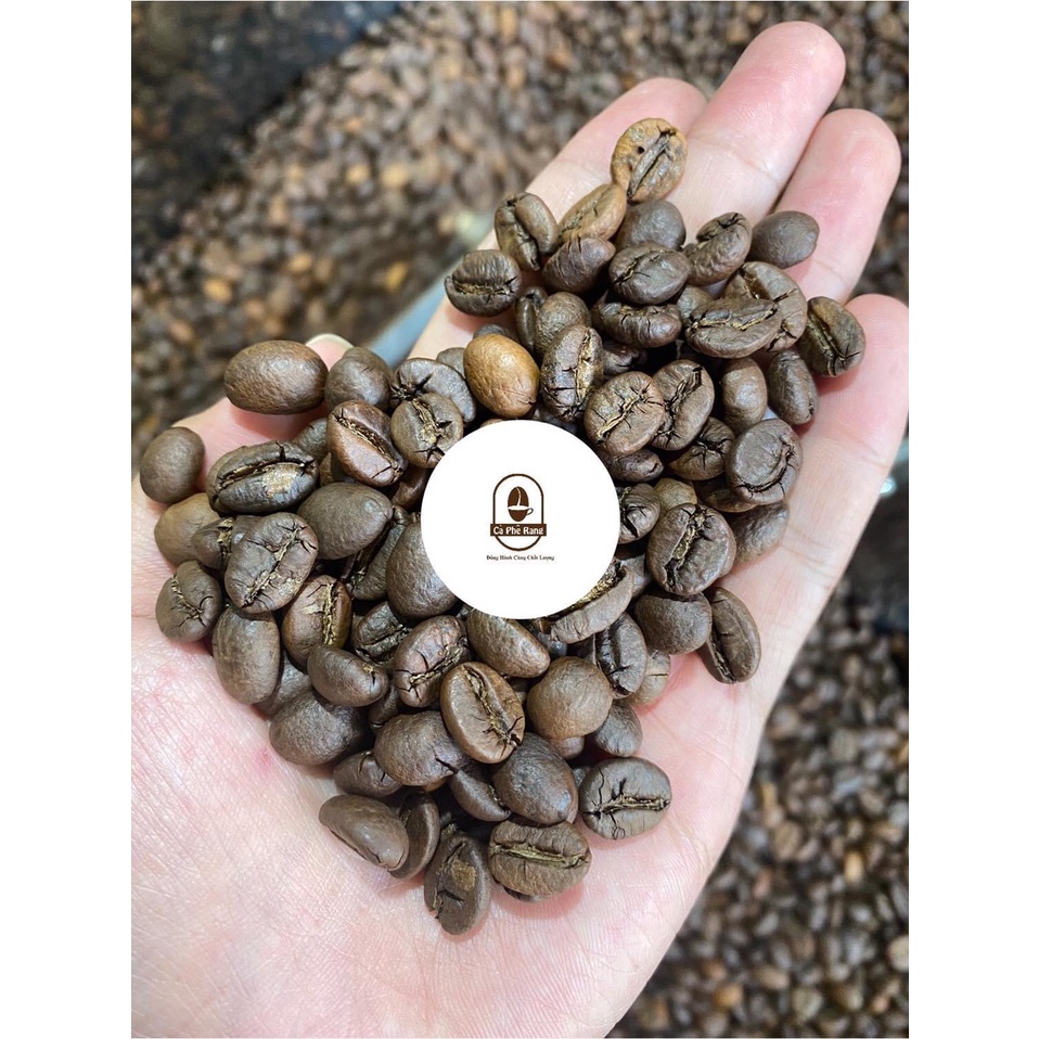 [Nhặt Tay] Cà phê robusta nhân sống chưa rang, caffee nguyên liệu sạch tây nguyên[1kg]