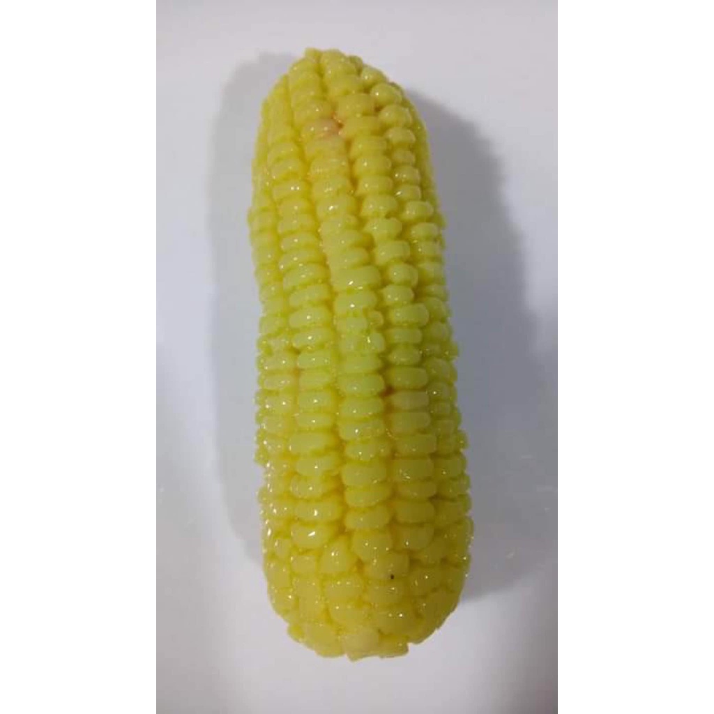 [KHUÔN 4D SALE] Khuôn Silicone Bắp Ngô Khuôn làm bánh