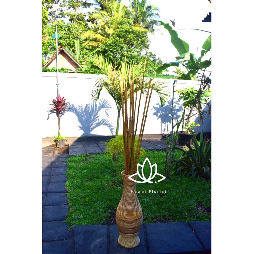 Set 10 cây tre tự nhiên 190cm chuyên dụng | BigBuy360 - bigbuy360.vn