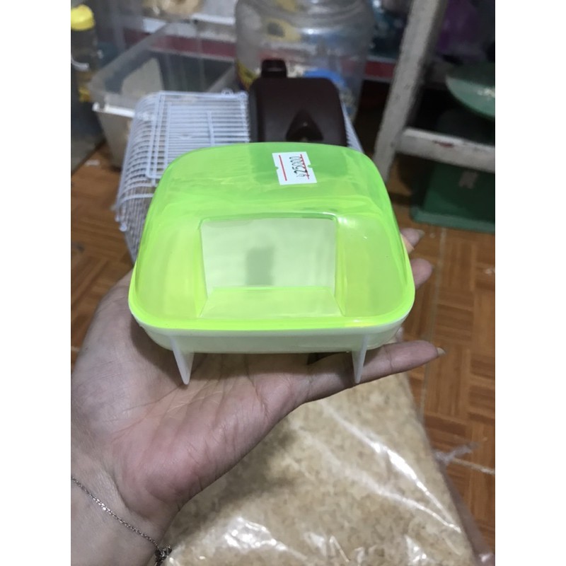 bộ đồ nuôi cơ bản nhất cho chuột hamster , chuột cảnh 2