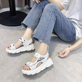Sandan đế bánh mì 5P hoa cúc