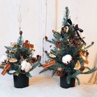 Cây thông Noel decor
