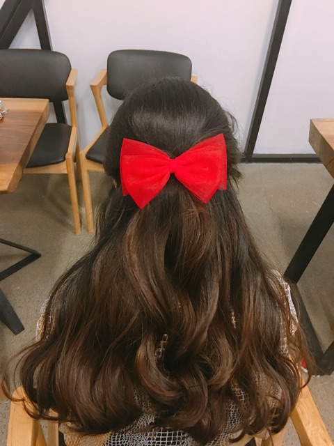 Kẹp nơ voan lưới