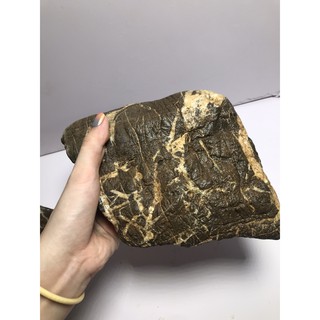 Đá Cuội Vân Mây (1KG)|Trang Trí Bể Thủy Sinh, Biotope | Size To-Nhỏ |