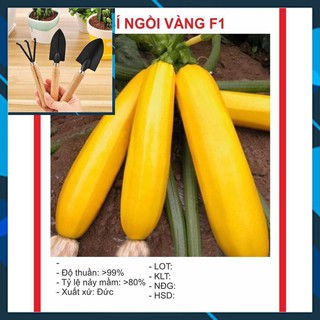 Hạt giống Bí Ngồi Vàng 10 Hạt TẶNG BỘ LÀM VƯƠN MINI