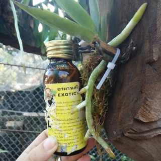 Thuốc kích rễ exo cho lan