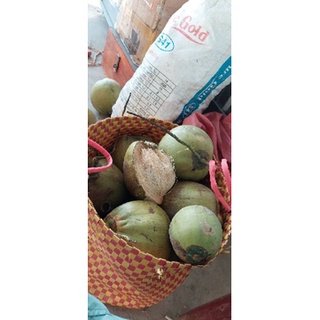 Dừa Sáp Đặc sản Sản Cầu Kè (Loại Sệt,Lỡ)