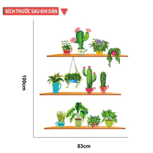 Decal dán tường chậu cây hoa xương rồng | BigBuy360 - bigbuy360.vn