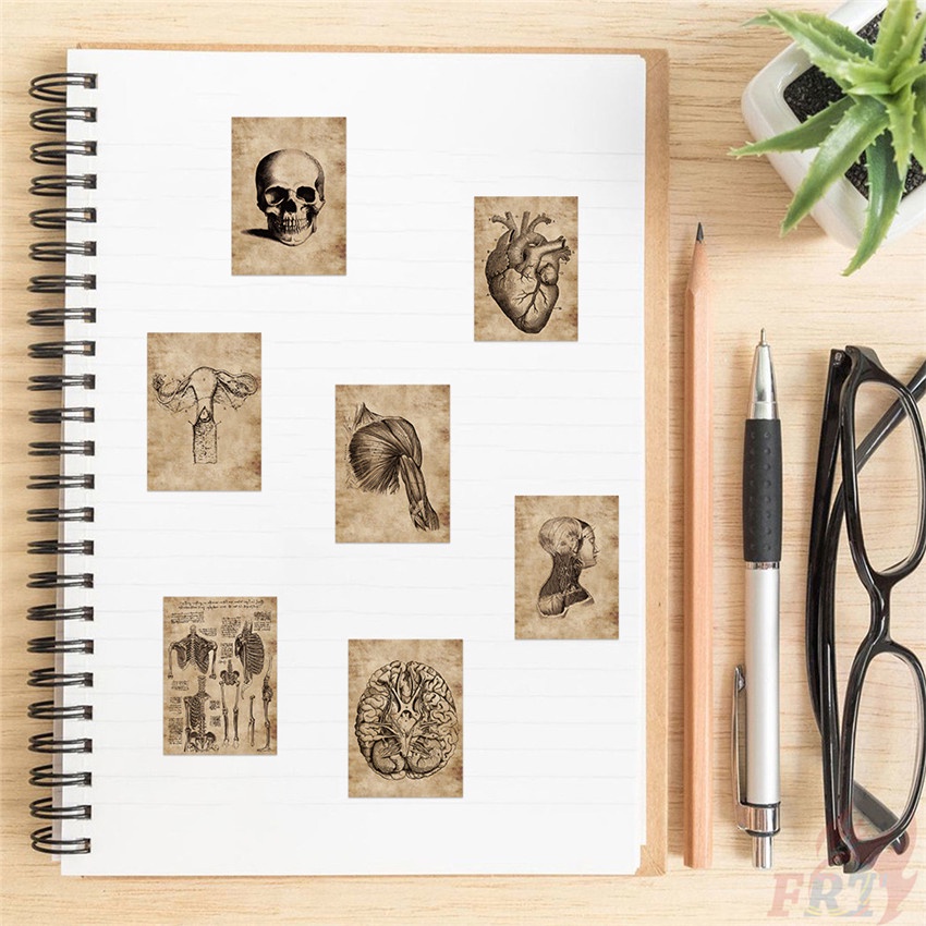 ❉ Hình Dán Nghệ Thuật Giải Phẫu Con Người Cổ Điển Series 01 ❉ Bộ 55 Sticker Chống Thấm Nước Họa Tiết Doodle Hợp Thời Trang