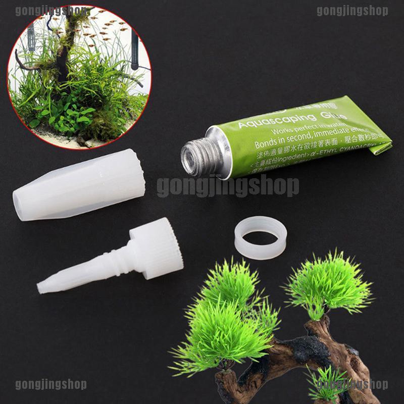 1 Keo Dán Trang Trí Bể Cá
