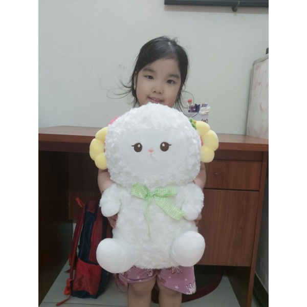 Cừu trắng lông xoăn cao cấp